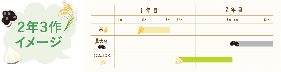 2年3作