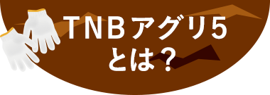 TNBアグリ5とは
